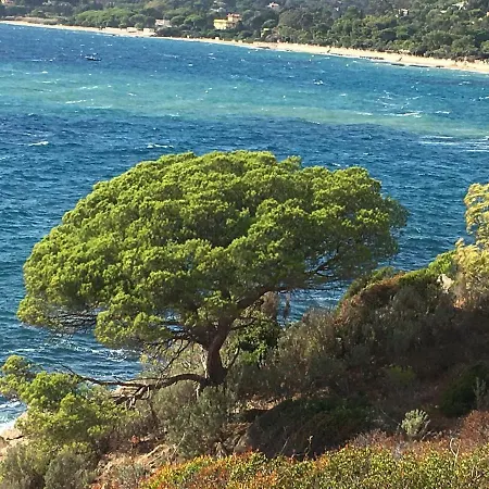 Provencale De Charme Avec Piscine Kwatera prywatna La Croix-Valmer